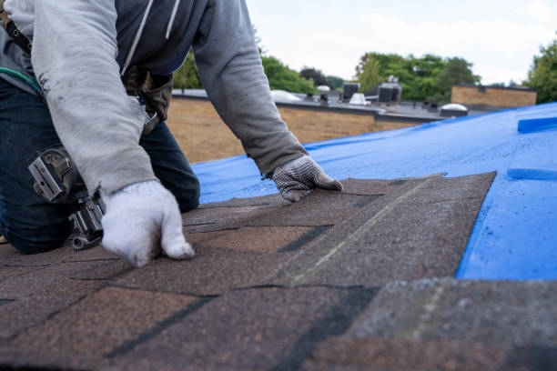 Sheet Metal Roofing in Macon, MS